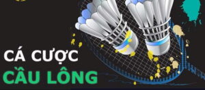 Cá cược cầu lông